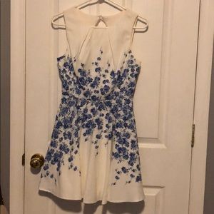 White and Blue Floral Dress
